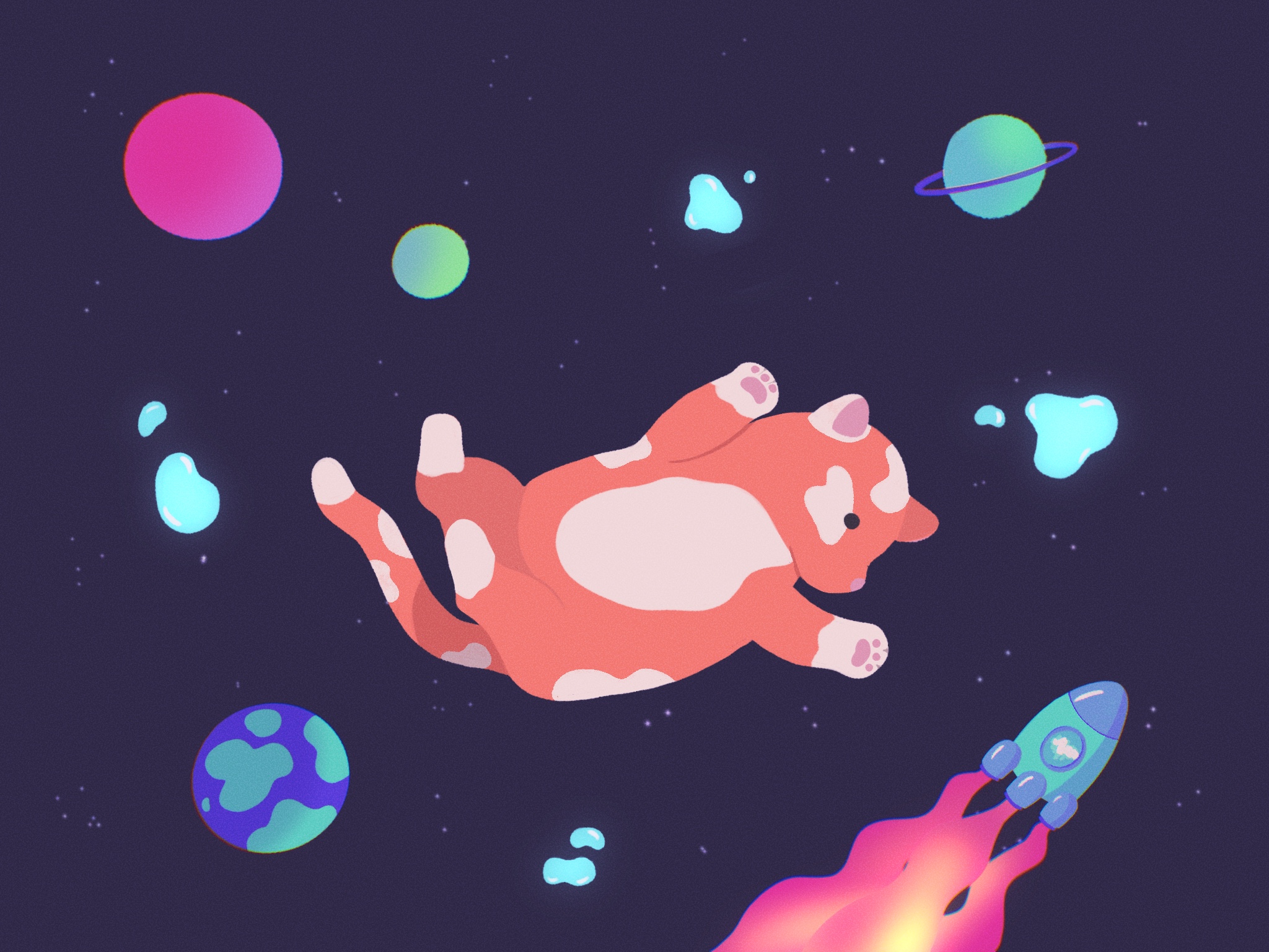 Space cat